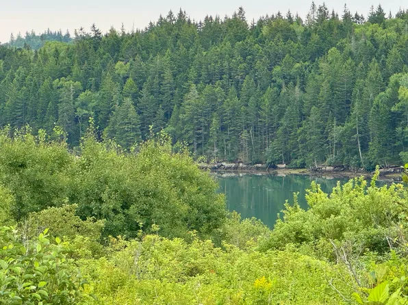 Lot 102.1 Dixie Road, Trescott Twp, ME 04652