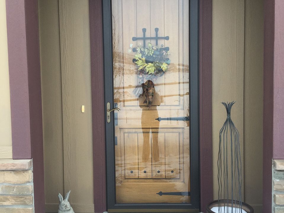 Storm door