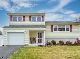 19 Devonshire Ter, Flanders, NJ 07836