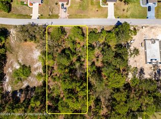 11270 Frigate Bird Ave, Weeki Wachee, FL 34613