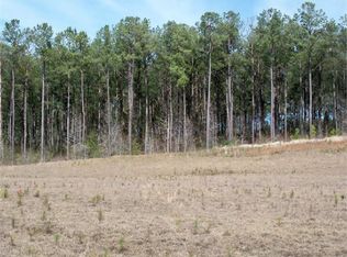 7 Kelly Branch Rd, Heidelberg, MS 39439