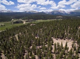 175 Potentilla Rd, Alma, CO 80420