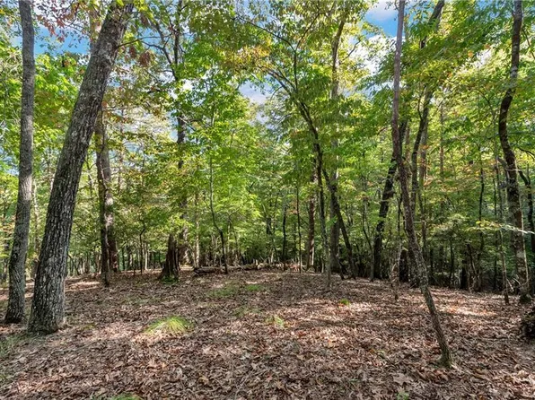 133 Stamp Mill Dr, Dahlonega, GA 30533