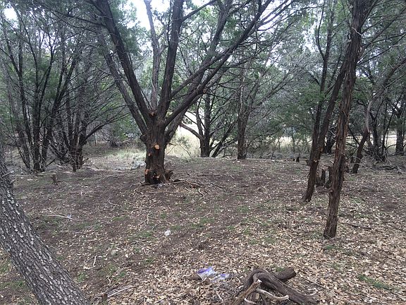 3rd image of 18511 Staghorn Dr