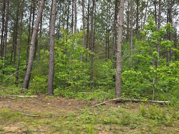 12 Holly Woods, Gainesboro, TN 38562