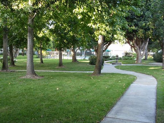 Greenbelt in back of Unit