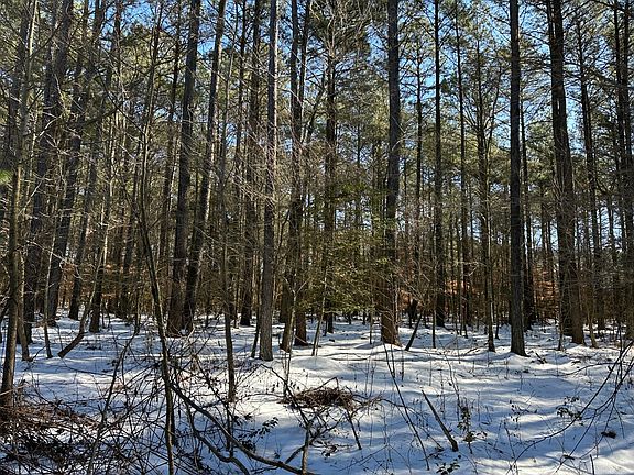 5th image of 0 E Hurleys Neck Rd