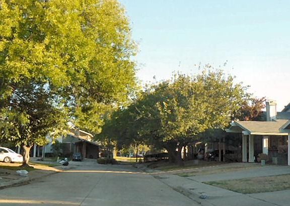 2nd image of 2626 Nina Cir