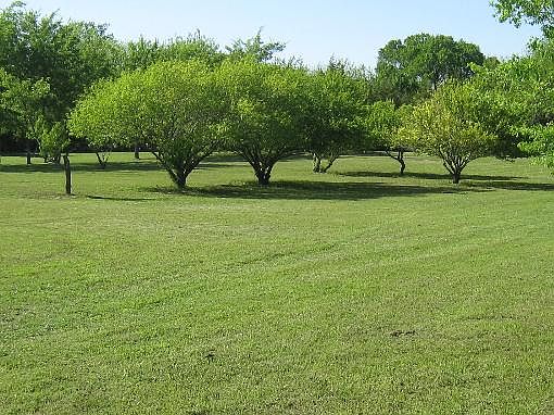 4th image of 759 County Road 4540
