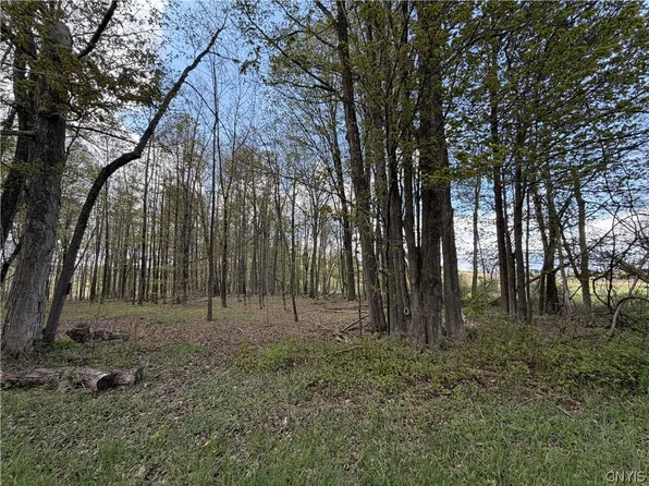 Route 167 Lot 11, Jordanville, NY 13361