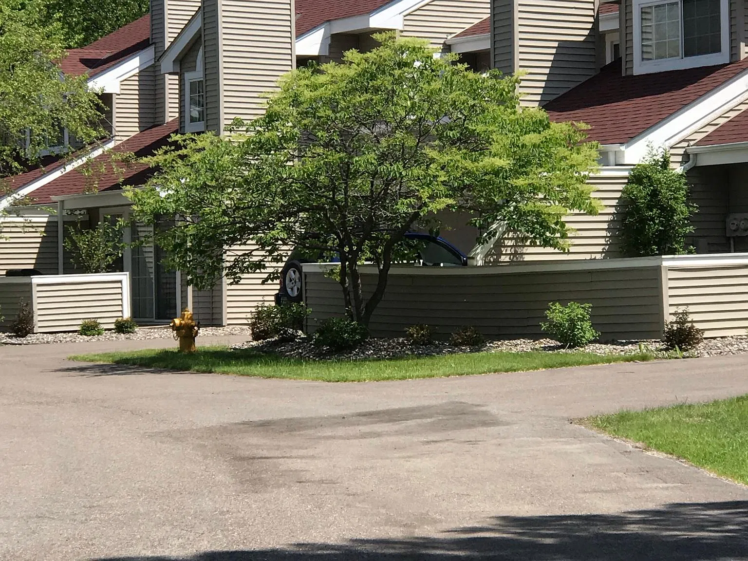 Shenandoah Ct, Plymouth — Photo 3