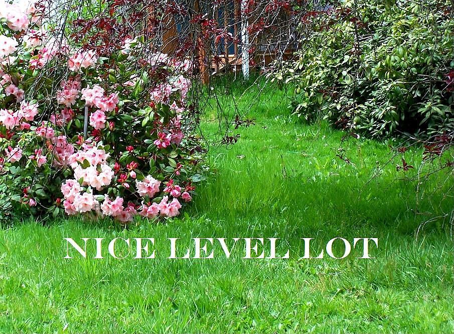 Level 1/2 acre+ Lot