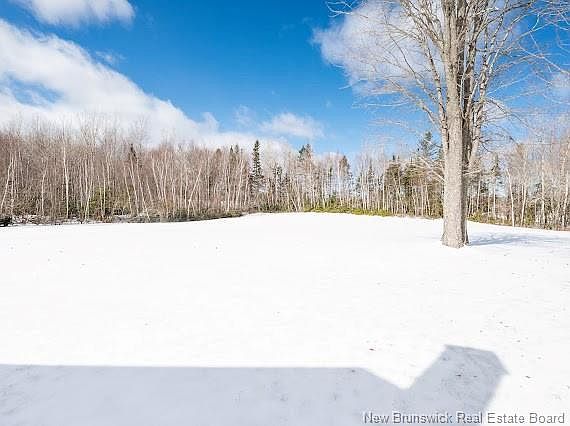 4th image of 59 Emmanuel Rd