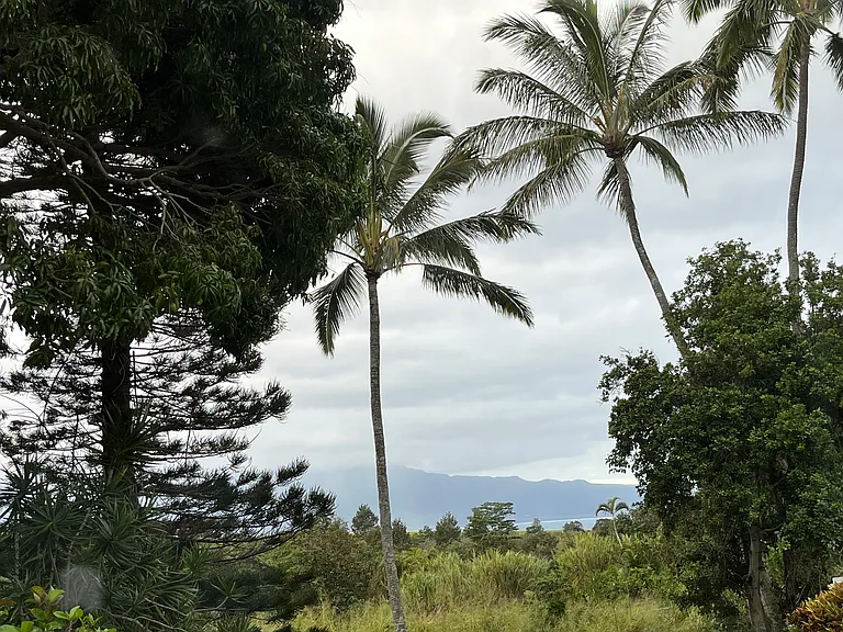 view from master bedroom lanai