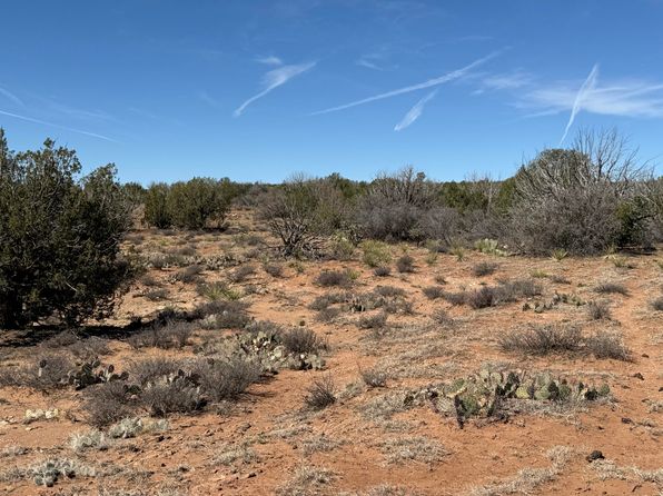 61 Bull Canyon Loop, Newkirk, NM 88431