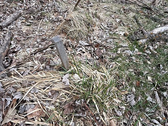 4th image of 0 Clement Rd