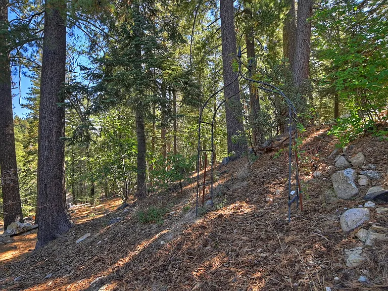 26319 Jacqueline Rd — Photo 41