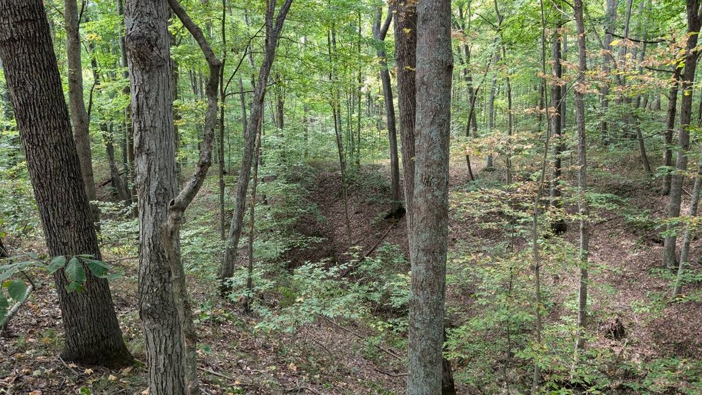 Real estate listing image
