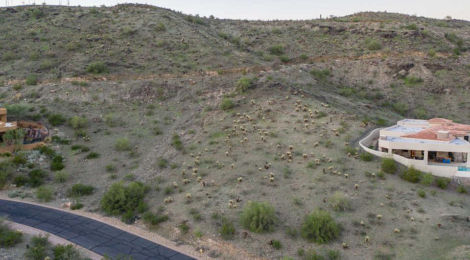 1st image of 1726 E Desert Willow Dr
