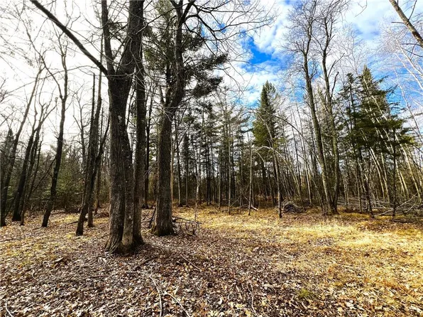 40 Acres Irish Road, Exeland, WI 54835