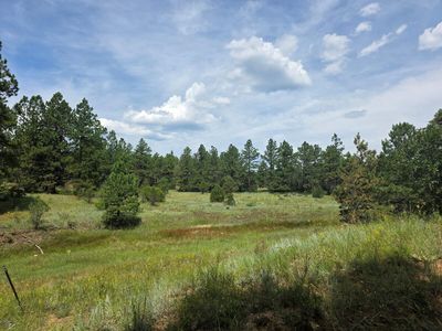 21376 Aspen Ln, Weston, CO, 81091