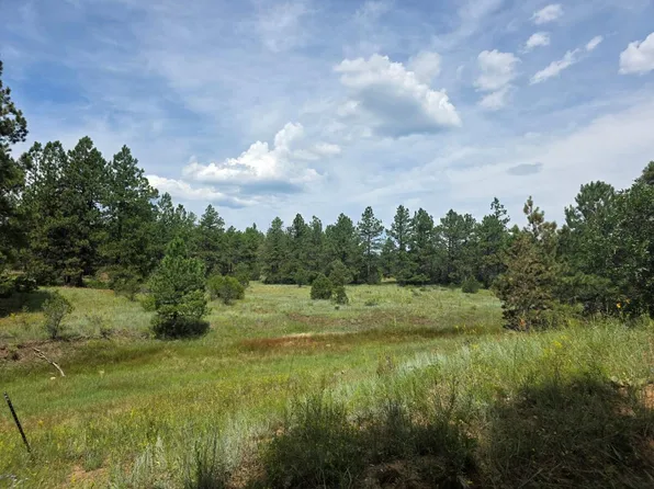 21376 Aspen Ln, Weston, CO 81091