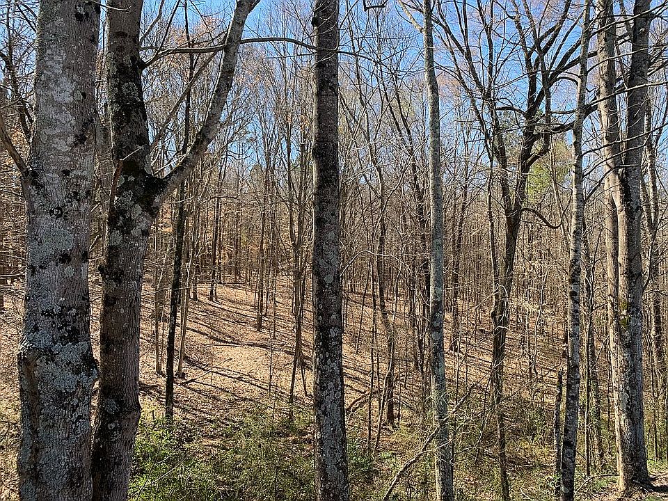 Wooded lot view