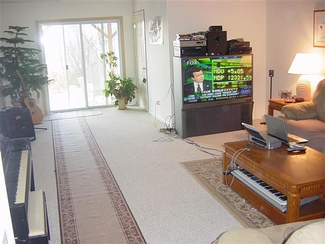 Lower family room