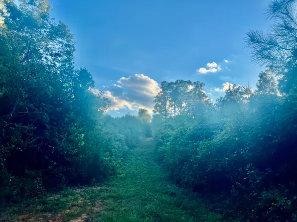 Union Church Rd Lot Wp001, Seminary, MS 39479