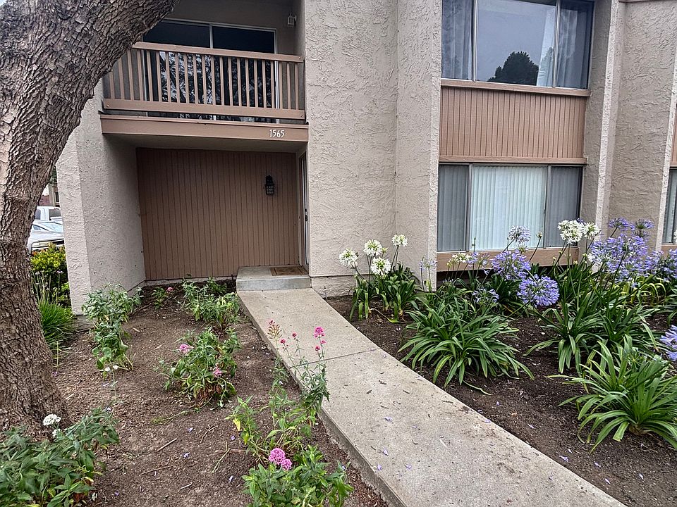 1st image of 1565 Raccoon Ct