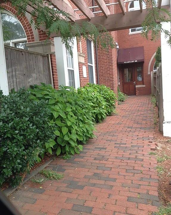 1st image of 88 Franklin St Unit 102