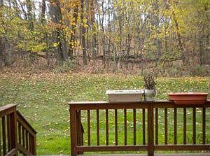 4th image of 2767 Drake Ct