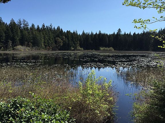 Stroll to Gazzam Lake