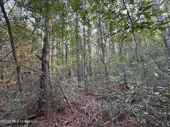 2nd image of N Lot 2 River Rd Lot 2