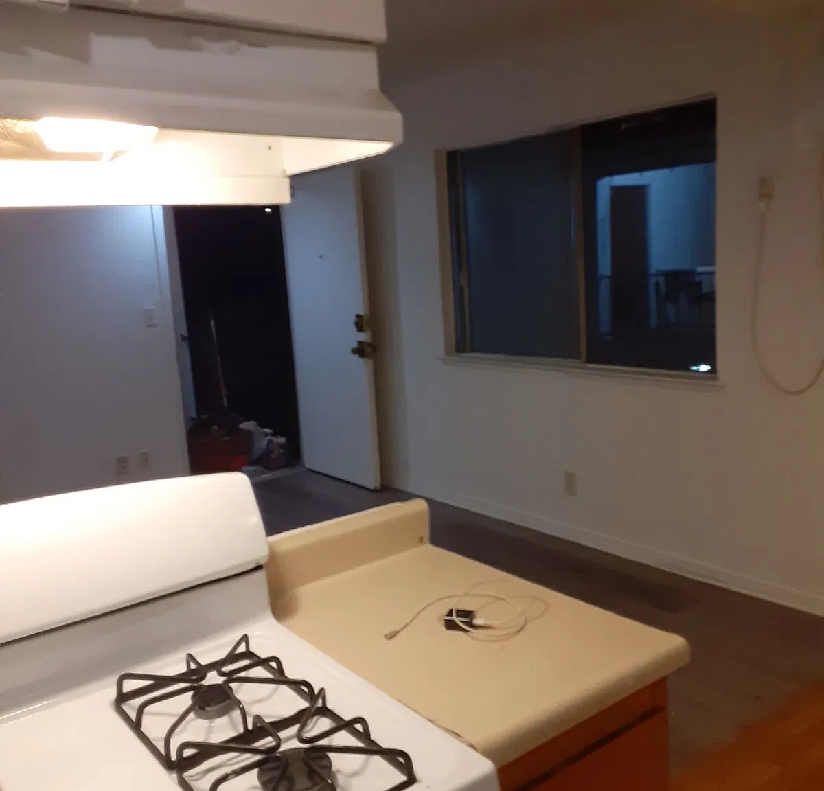 2 bed, 700 sqft, $1,350 — Photo 3