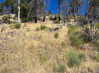 9768 Palmer Dr #8, Cobb, CA 95426