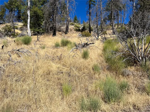 9768 Palmer Dr #8, Cobb, CA 95426