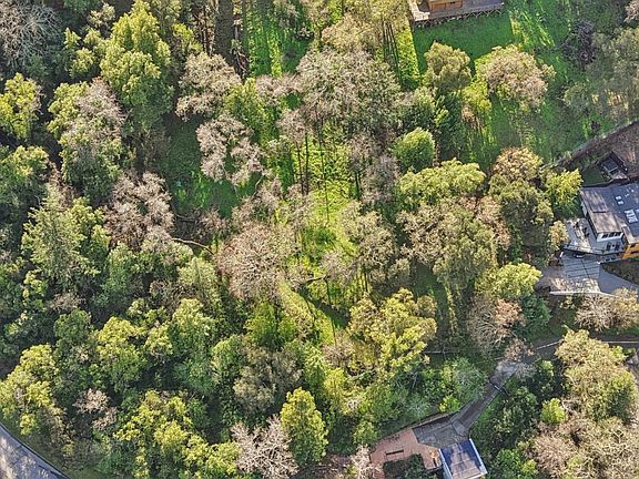 2nd image of 145 Foxwood Rd