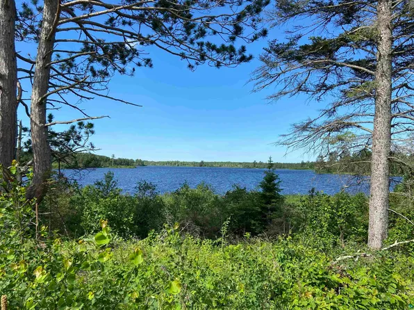 2200 N Bear Lake Rd, Brimson, MN 55602