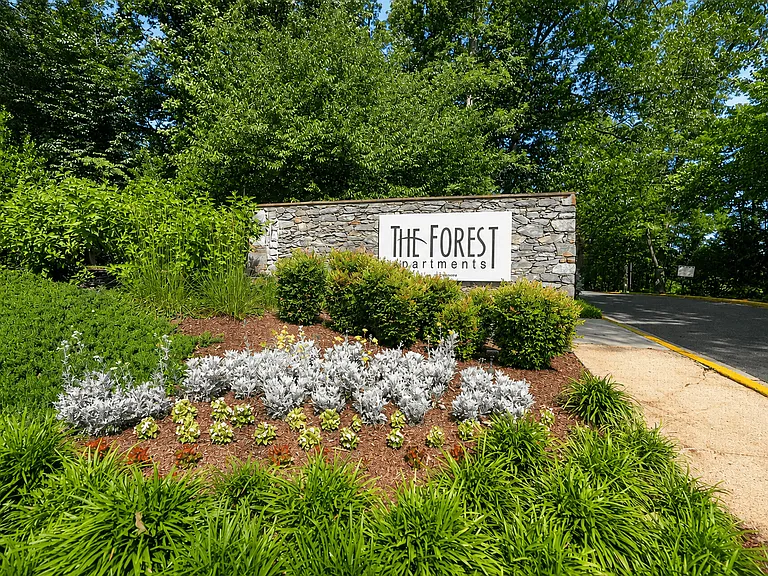 The Forest Apartments — Photo 39