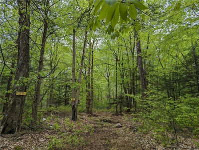 Diamond Road, Ellenville, NY, 12428