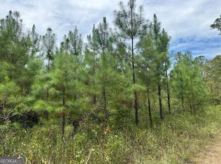 PARCEL 2 Tuck Persons Hwy, Talbotton, GA 31827