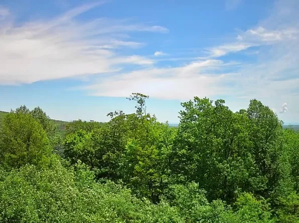 0 Briley Rd #6, Spring City, TN 37381