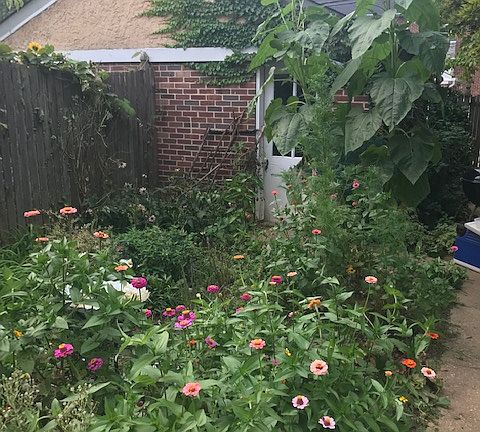 Lush perennial plantings!