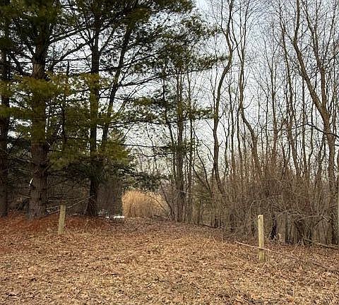 2nd image of 4311 S Youngman Rd