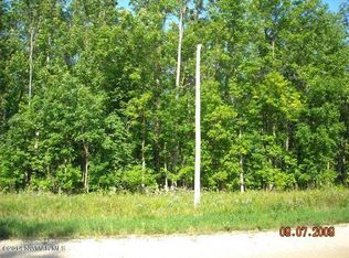 Graceton Beach Rd NW, Williams, MN 56686