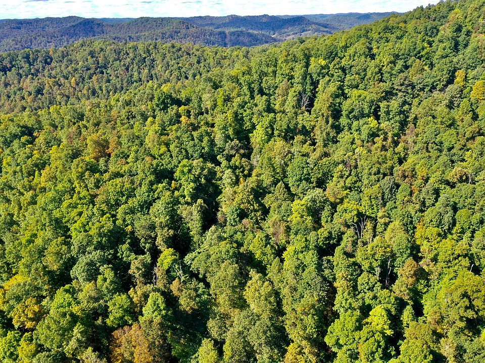 1153 Abbotts Run, Horner, WV 26372 Zillow