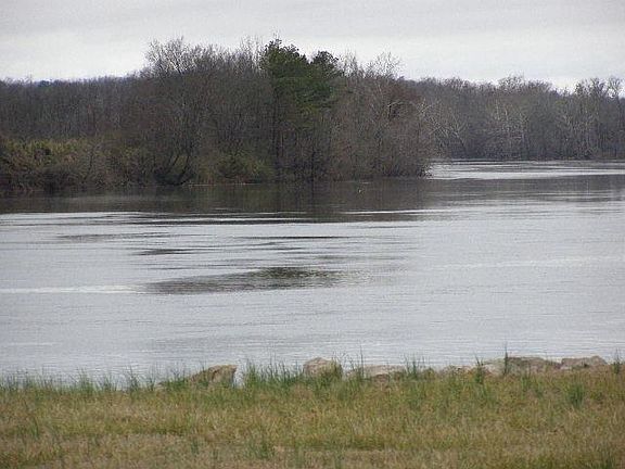 3rd image of Catfish Ln Lot 56