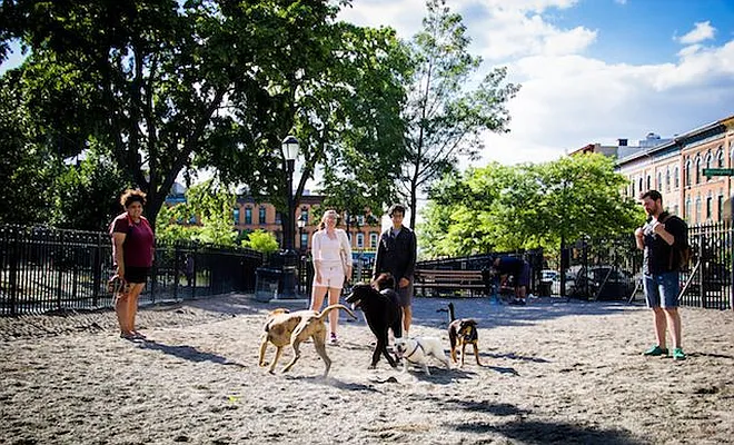 Rented by Manhattan Management LLC | media 62