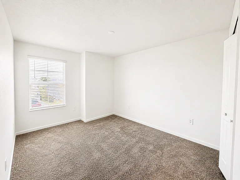 518 Sea Turtle Ln — Photo 9